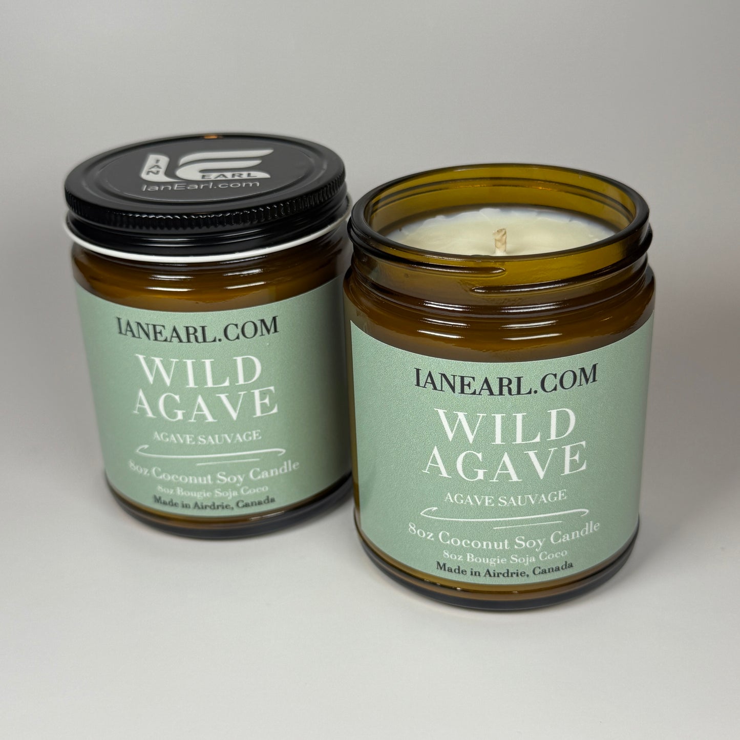 Wild Agave - 8oz Coconut Soy Candle - Prismatic Ash Soap Co.